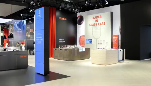 aeg ifa ds head