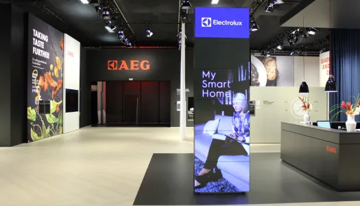 aeg ifa ds