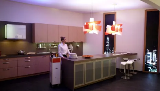 brandarena head